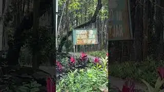 Perjalanan menuju kaliwatu cafe&resto Sentul Bogor #pesonagerobaktua #bimantaracakra97