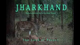 ঝাড়খণ্ডের অরণ্যে | Jharkhand Patratu valley | Betla Jungle Safari | পালামৌয়ের গহীনে | প্রথম পর্ব