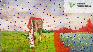 Zeotropic Tutorial Hindi / animate any photo with this app