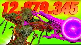 3 Ivara Setups You NEED To Try Today!