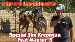 Training Kerapan Sapi Madura di Lap. Asemanis Pamekasan, Spesial Tim Kreongan Feat Mansur. S