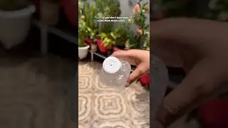 Watering plants from discarded plastic bottles #shorts
