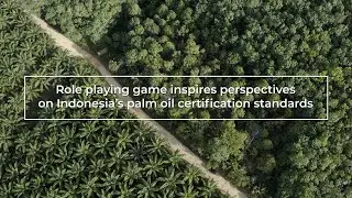 Role playing game inspires perspectives on Indonesia&rsquo;s palm oil certification standards