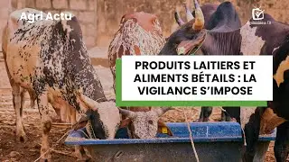 Agri Actu : Produits laitiers et aliments b&eacute;tails, la vigilance s&rsquo;impose