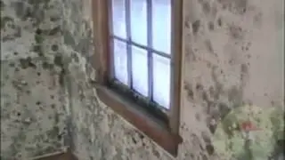 Toxic Mold Testing Methods and Services in Tallahassee FL