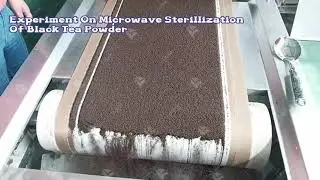 Microwave drying black tea machine tunnel type microwave tea drying machine WhatsApp+8618963065070