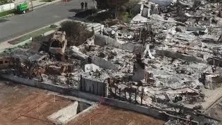 Hollywood rolls out the red carpet for Oscar Sunday amid somber backdrop of wildfire devastation