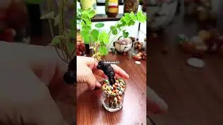 Growing flowers with my fingertips, a mature hydroponic lucky clover, in a transparent container