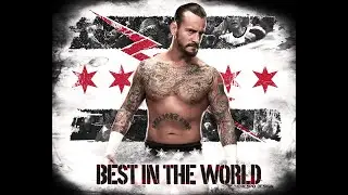 CM Punk WWE Theme - Cult Of Personality [Arena Effect + Lyrics]