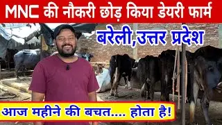 MNC की नौकरी छोड़ किया डेयरी फार्म,आज़ महीने की बचत होती है#farming/dairy farm bareilly up/hf farm |