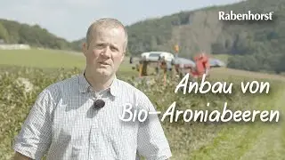 Rabenhorst &ndash; Anbau von Bio-Aroniabeeren