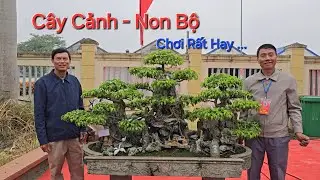 CẢ TL NINH GIANG gần 800 Tp nhưng chỉ CÓ 2 TP ĐỘC ĐÁO NÀY !