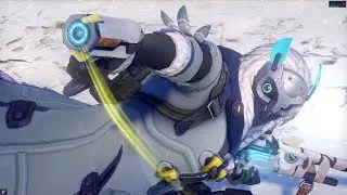Ana - Snow Owl - Overwatch 2017 Winter Skin Spotlight