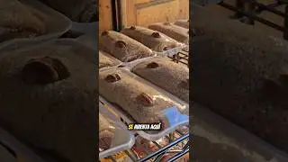 THIS IS HOW GUAVA CANDY IS MADE #short #shorts #sweet #talpa #viral