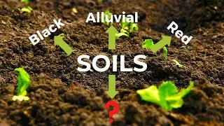 Classification of Soils Mind map UPSC | Classification of Soils UPSC