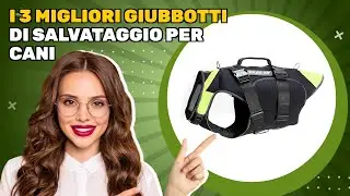 I 3 migliori giubbotti di salvataggio per cani 2025: il mio consiglio per non sbagliare acquisto