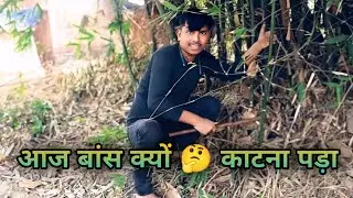आज हमको बांस क्यों काटना पड़ा?।।#VinayDehatiVlog01