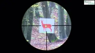 Zeiss Victory V8 1.8-14x50 Reticle 60 | Reticle Subtensions