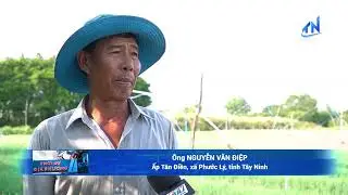 Ứng dụng c&ocirc;ng nghệ gi&uacute;p rau m&agrave;u đạt năng suất cao