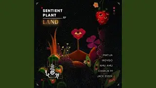 Sentient Plant (Jack Essek Remix)