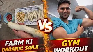 फार्म की जैविक सब्जी || Gym workout || #30 Days challenge 