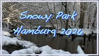 Unexpected snow in Hamburg - enjoy and don't miss the sun coming through