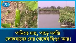 লোকসানের ঘের আজ দ্বিগুণ লাভের মাঠ ! Fish Farming | Success Story | Rtv News