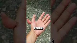If you see this HAND run!😨#shorts
