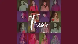 Moltitudine