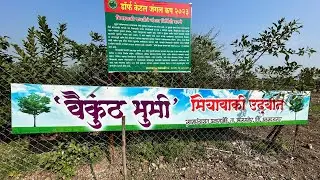 MIYAWAKI RAPID FOREST PALASAKHEDE |DORF KETAL JUNGLE CUP  2023| Sangmaner