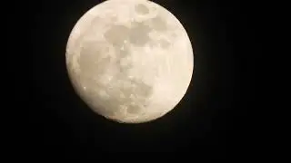 Nikon P950 ile zoom denemesi yaptık