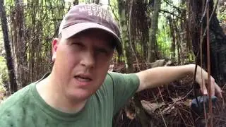 Walking Hard for a Cache
