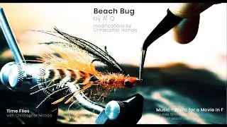 Time Flies - Beach Bug by Al Q