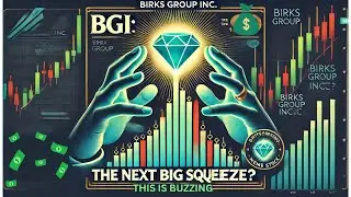 BGI Stock Explosion Imminent: Birks Group Inc. | Low Float, Short Squeeze Setup, and Price Targets!