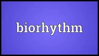 Biorhythm Meaning
