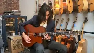 StringPhonic Advanced Premium (Limited) #182