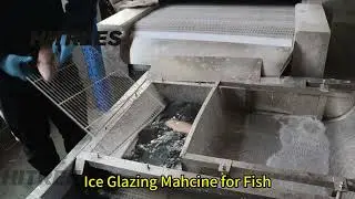 【Hitrees】❄️Ice Glazing Machine for Fish Keep Fresh and Improve Appearance
