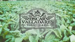 Oscar Valladares Tobacco and Company