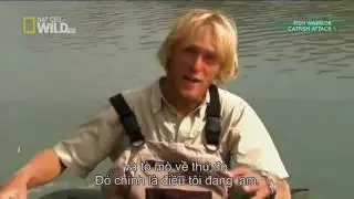 Catfish Documentary