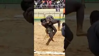 lutte S&eacute;n&eacute;galaise