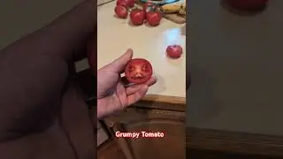 Grumpy Tomato. #food #funny