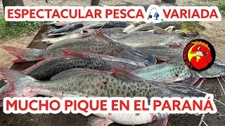 ОТЛИЧНАЯ РЫБАЛКА!!! В Аргентине