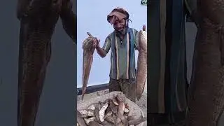 #fishing #strike #mancing #ikan #fish #spotpotensial #shortsvideo #spotmantap #shortsyoutube
