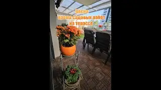 Spring is the time for gardening on the terrace