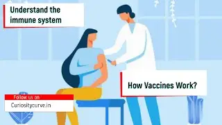 VACCINATION | How Vaccines Work? | Importance Of Vaccine