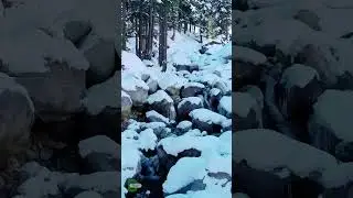 Kalam Valley Winter Beauty | #shorts #snowfall #travel #discoverpakistan #swatvalley