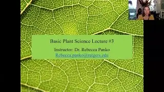 Lecture 3 Basic Plant Science Lecture (Summer 2022)