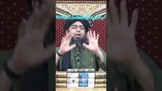 Nasbion Ka Ahl-e-bait par jhootha ilzam | #engineermuhammadalimirza exposing nasbiat.