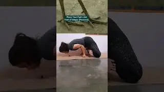 How to do Padma Mayurasana| Lotus peacock Pose| Variation @aadyashri_yogalaya #peacock  #yogapose