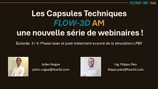 Les Capsules Techniques FLOW 3D AM ep 3 sur 4 : Phase laser et post traitement de la simulation LPBF